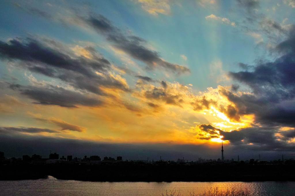 江戸川夕景