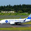 Buisiness Jet