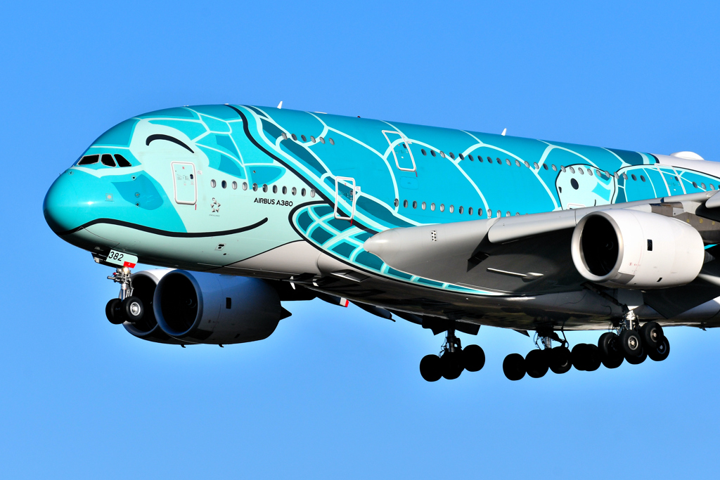 空飛ぶウミガメ