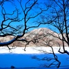 凍てつく赤城山