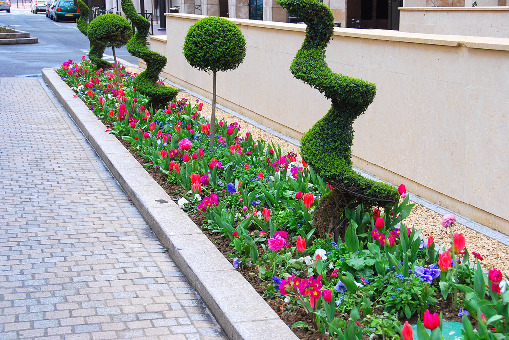 街角の花壇