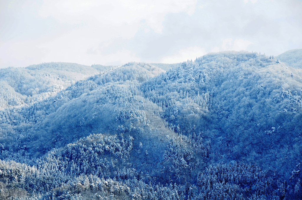 雪化粧