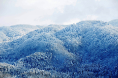雪化粧