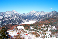 丸沼