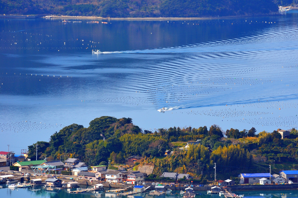 愛媛の海