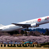 春の空旅