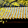 黄色い屋根