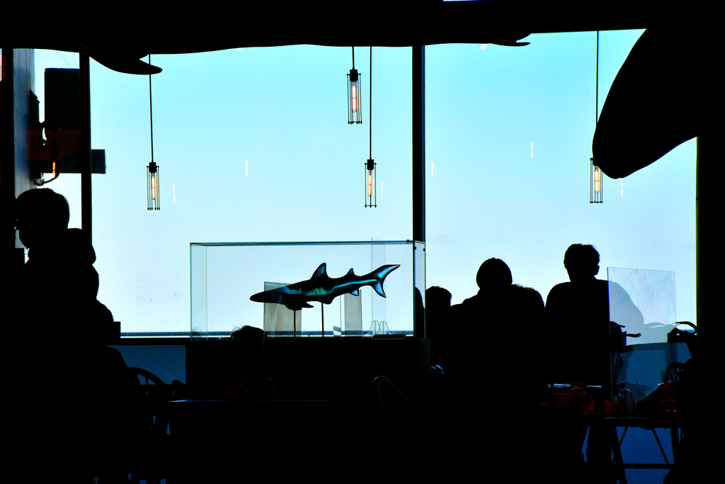 A cafe in an aquarium