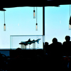 A cafe in an aquarium