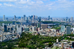 TOKYO City View