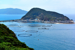 高知県の島・・養殖イカダ