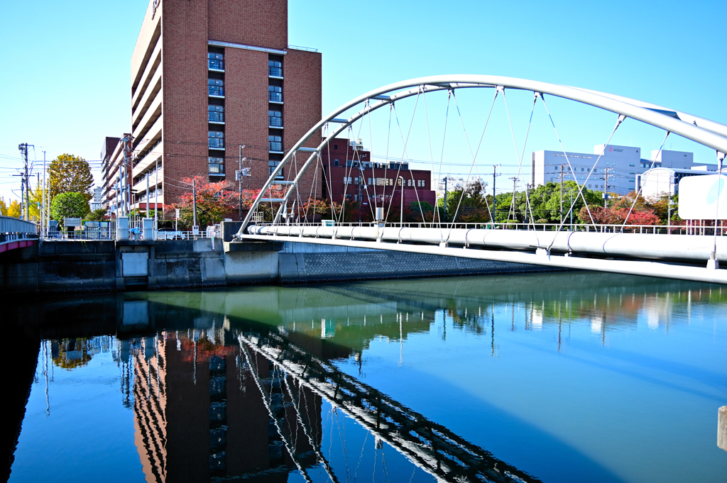 静かな朝の川面