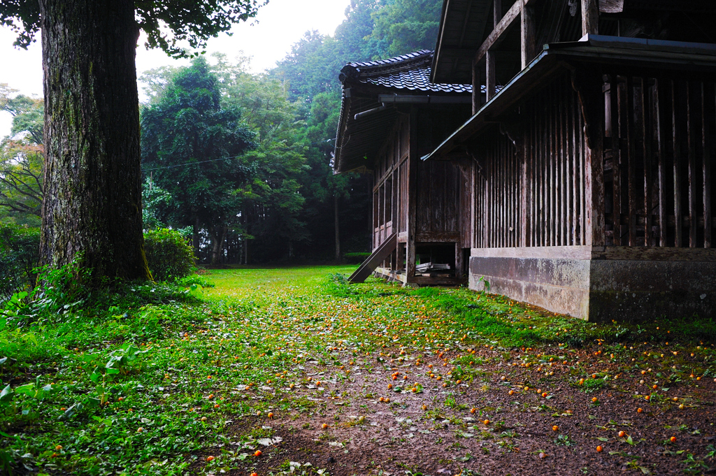 ある神社
