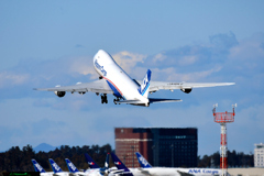 Love B747