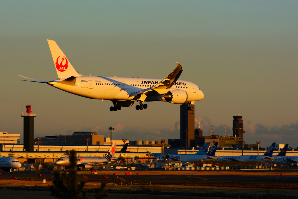 evening arrival