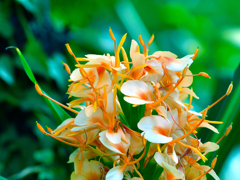 「あなたを信頼します」