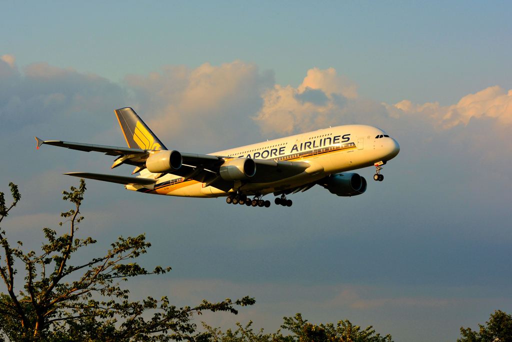 Evening Arrival