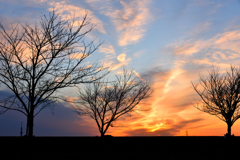 江戸川夕景