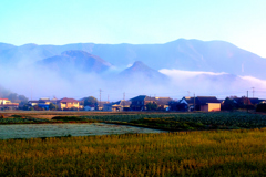 霧の朝