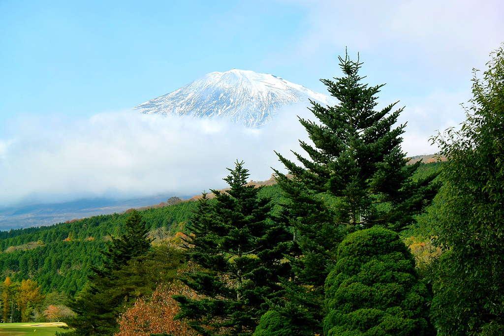 Mt.Fuji