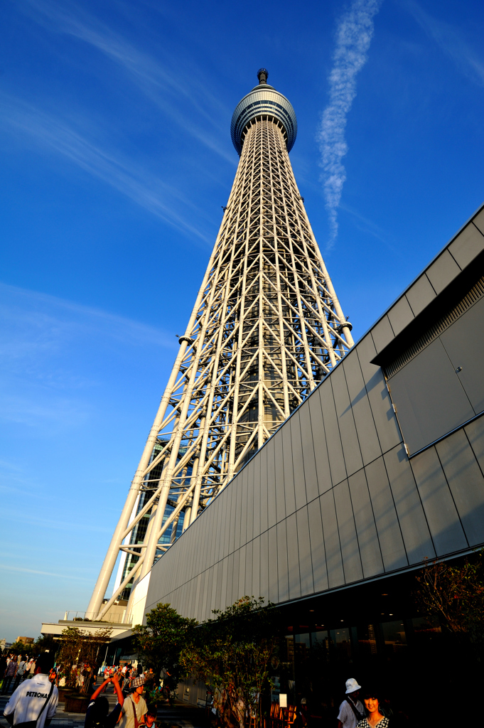 SkyTree 2012