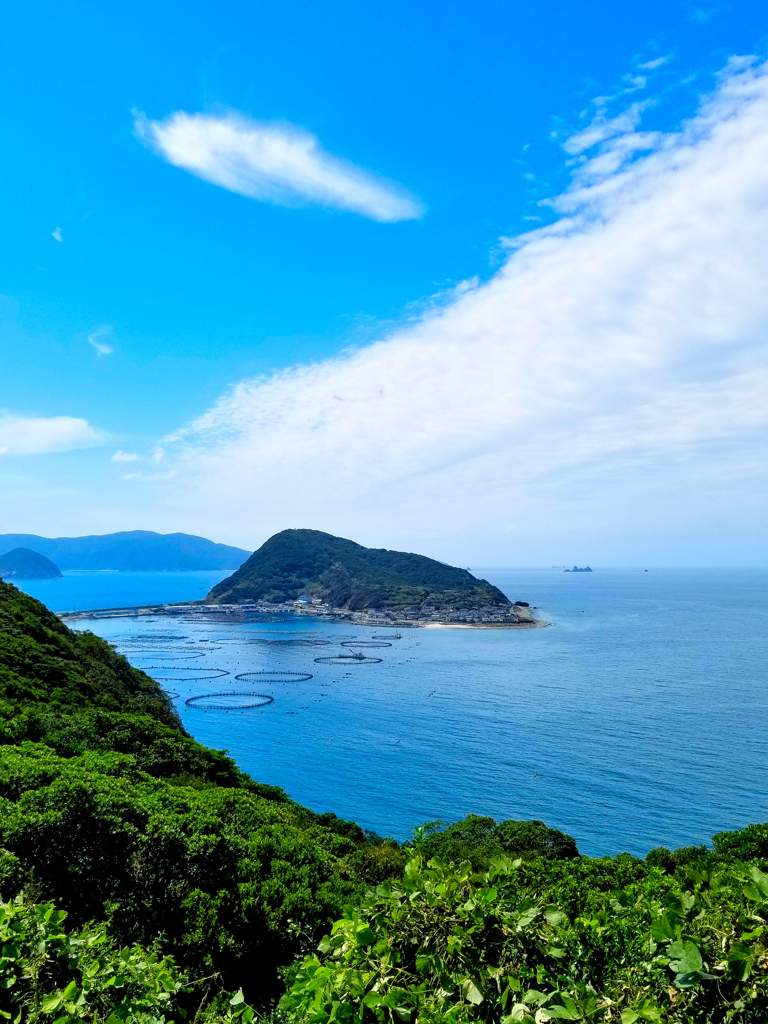 高知県の海