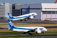 ANA B787 Dreamliner