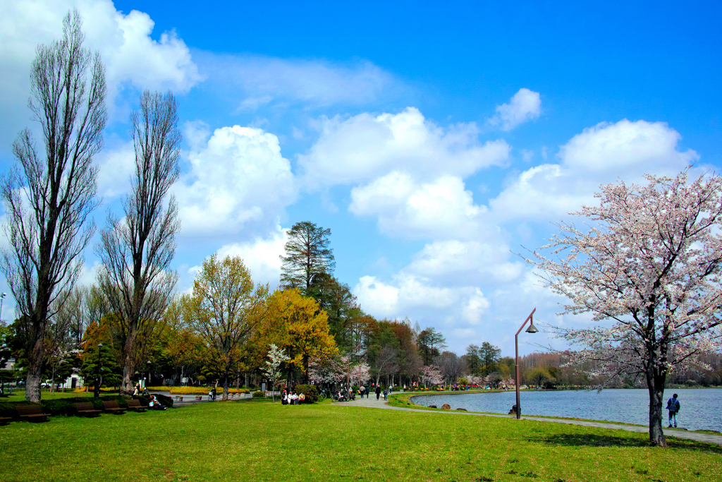 一年前の水元公園#1