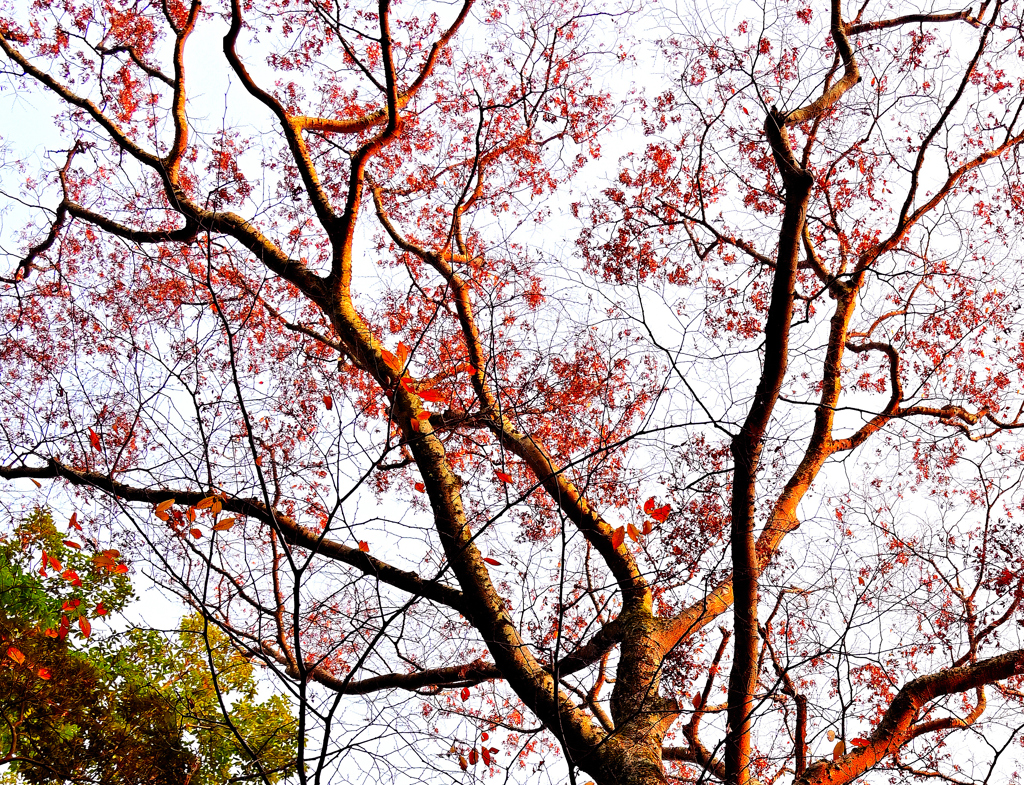 夕陽を受けて !