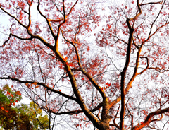 夕陽を受けて !