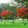 色づき始めたRegents Park, London