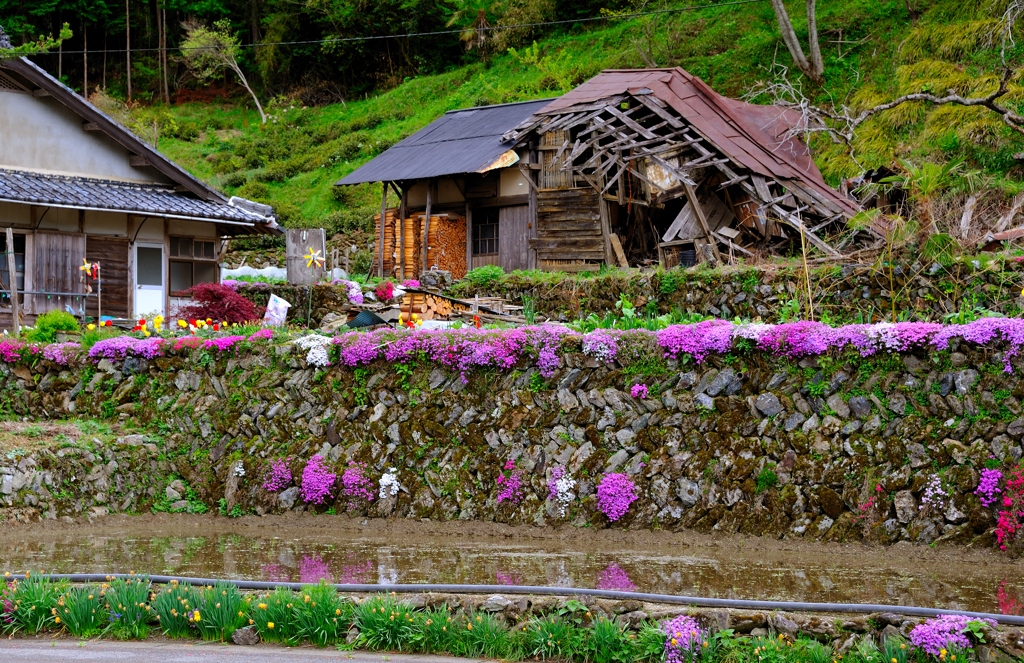 里山の春 #2