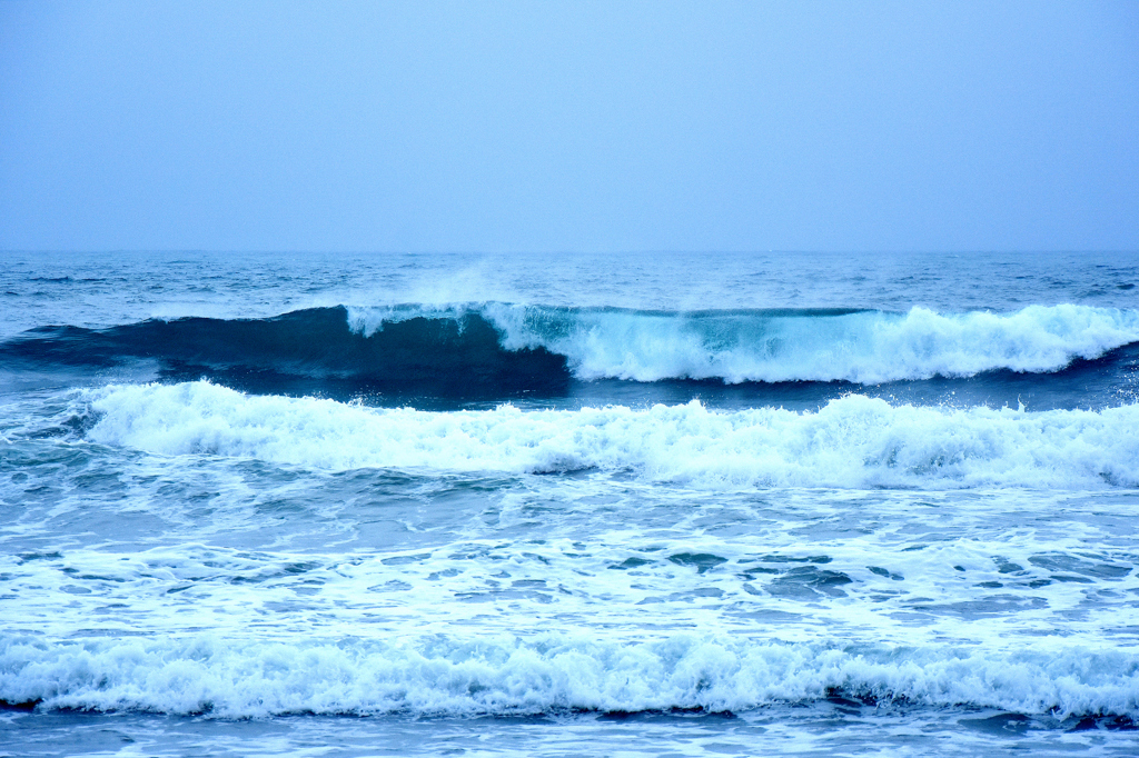 WAVE