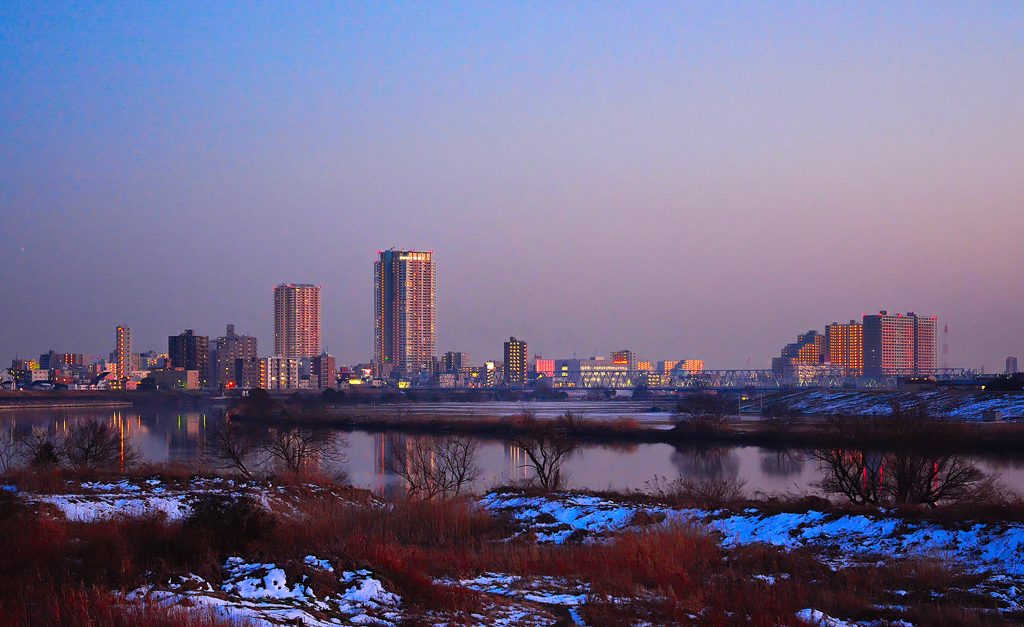 冬の江戸川夕景