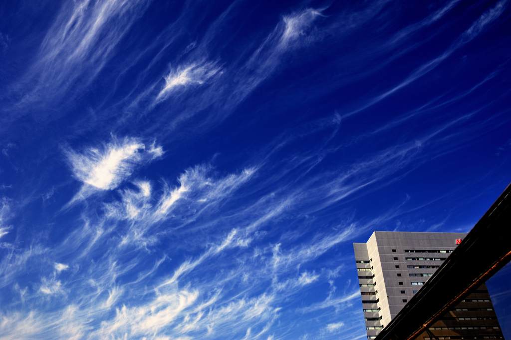 秋の雲・・・巻雲Cirrus