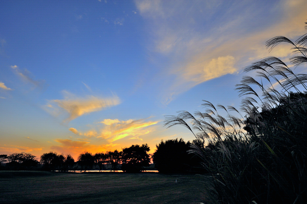 江戸川夕景