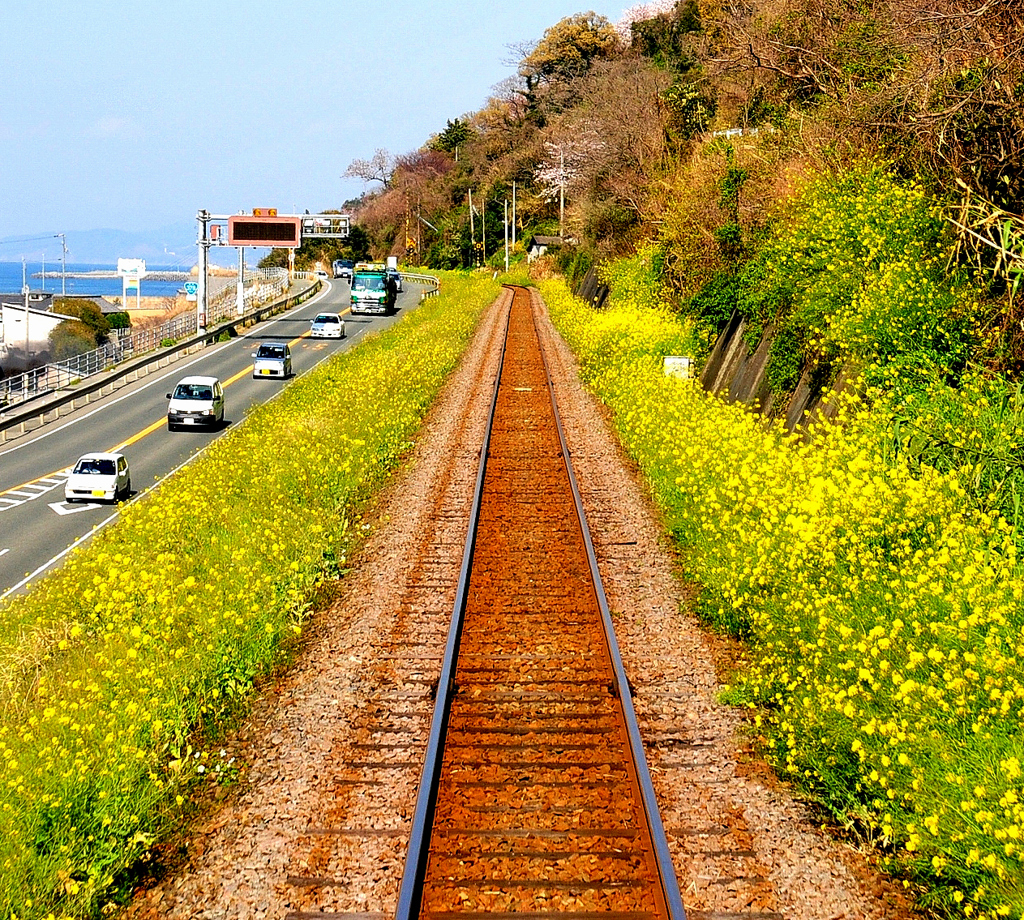 春のローカル線 by P20B （ID：9432887） - 写真共有サイト:PHOTOHITO