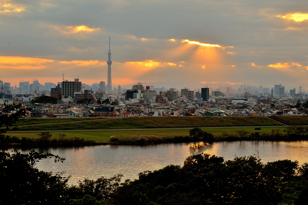 江戸川夕景