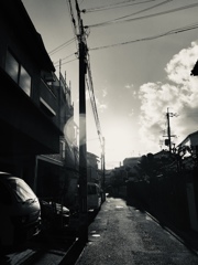 Daylight