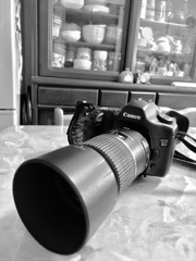 EOS5D+Tamron 90mm macro lens