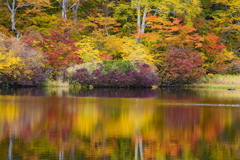 鶴間池の紅葉
