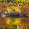 鶴間池の紅葉