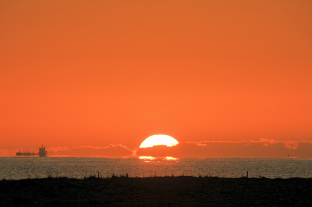 標高3㍍の山頂から
