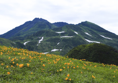 ニッコウキスゲと鳥海山