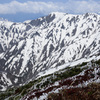 春山３