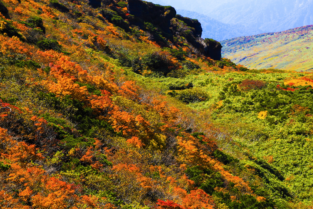 紅葉（栗駒山）