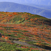 山の紅葉