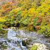 栗駒山新湯沢の紅葉(上流側）