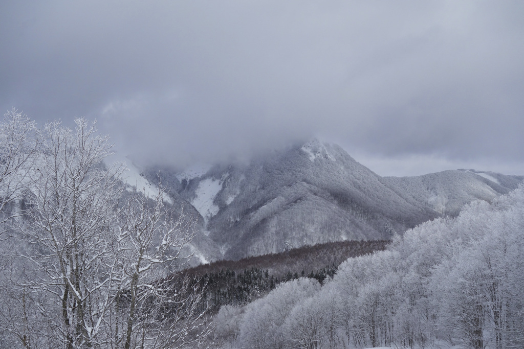 雪景色