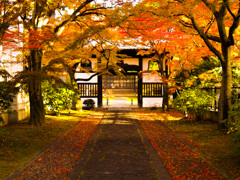 通勤途上の紅葉